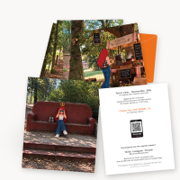 11 Art Cards · GPS-Kunstroute Baarnse Bos · Chapter Two · THE CROWN