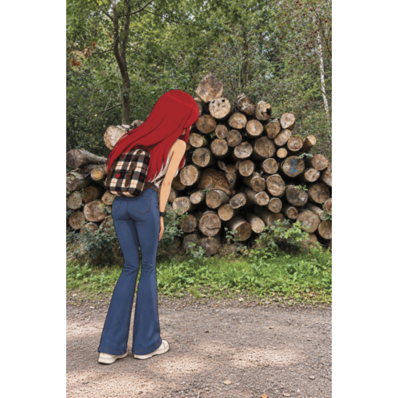 11 Art Cards · GPS-Kunstroute Baarnse Bos · Chapter One · THE DRAGON