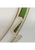 Walking stick - Diesbachia tamyris