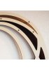 Walking stick - Diesbachia tamyris