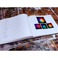 True Blue - Special Edition | Artist’s book + original artwork