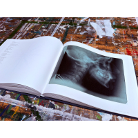 True Blue - Special Edition | Artist’s book + original artwork