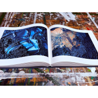 True Blue - Special Edition | Artist’s book + original artwork